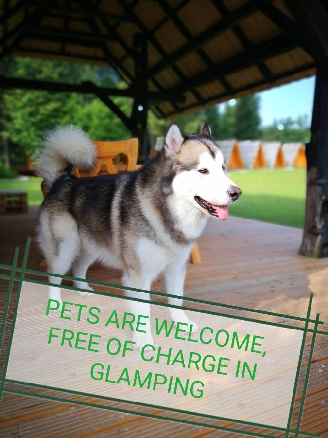 קמניק Glamping Forest Edge מראה חיצוני תמונה