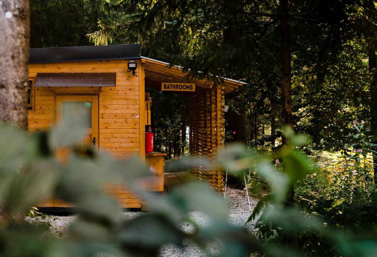 קמניק Glamping Forest Edge מראה חיצוני תמונה
