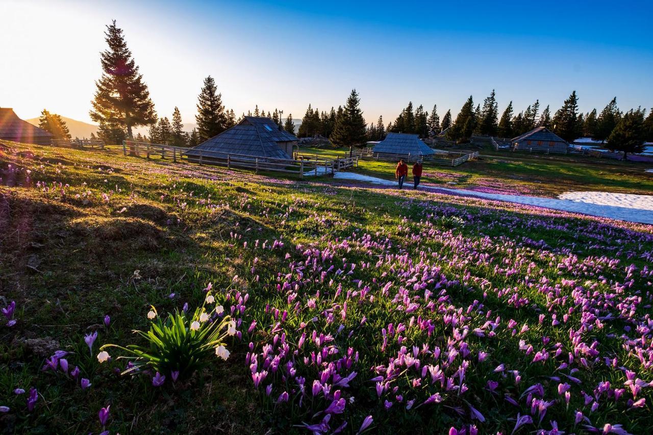 מלון קמניק Glamping Forest Edge מראה חיצוני תמונה