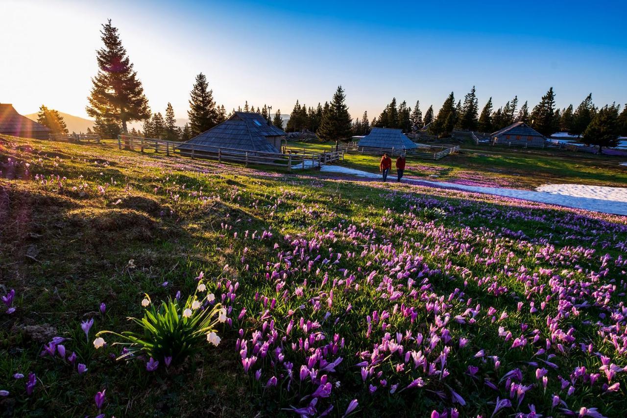 קמניק Glamping Forest Edge מראה חיצוני תמונה